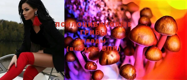 мяу мяу мука Пересвет