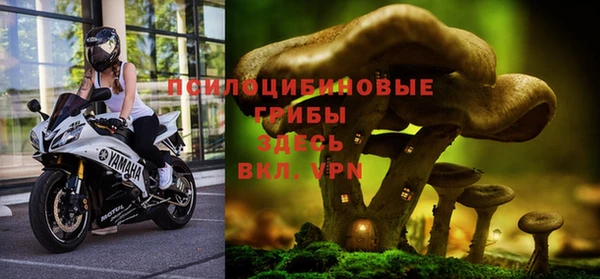 PSILOCYBIN Цивильск