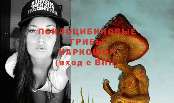 мяу мяу мука Пересвет