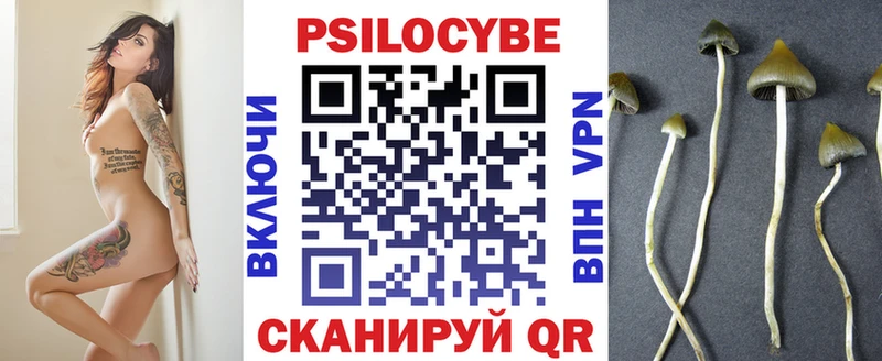 Псилоцибиновые грибы прущие грибы  блэк спрут рабочий сайт  Рославль  где можно купить  