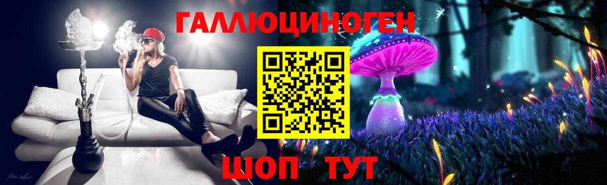 Галлюциногенные грибы Psilocybine cubensis  Галлюциногенные грибы прущие грибы  Вход с VPN  Рославль 